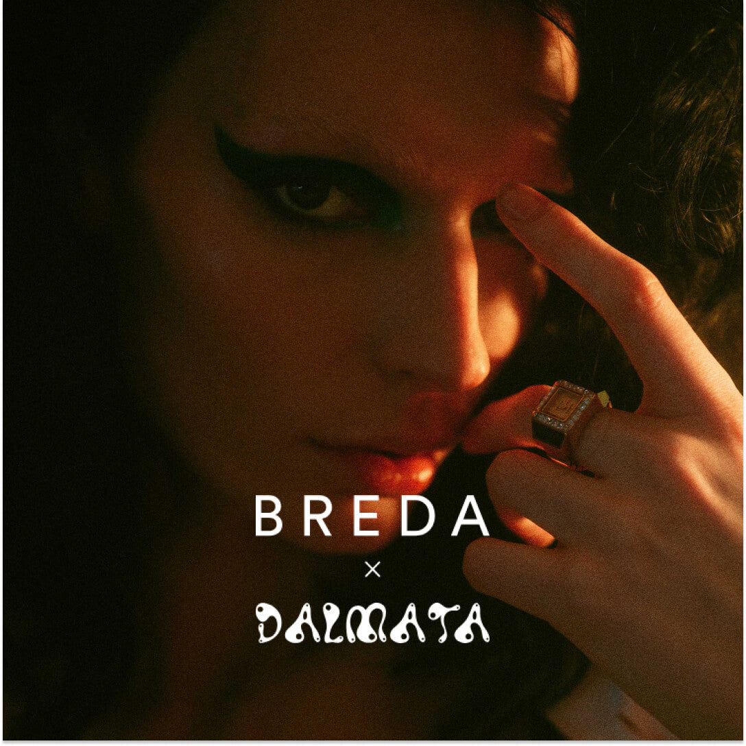 Breda x Dalmata