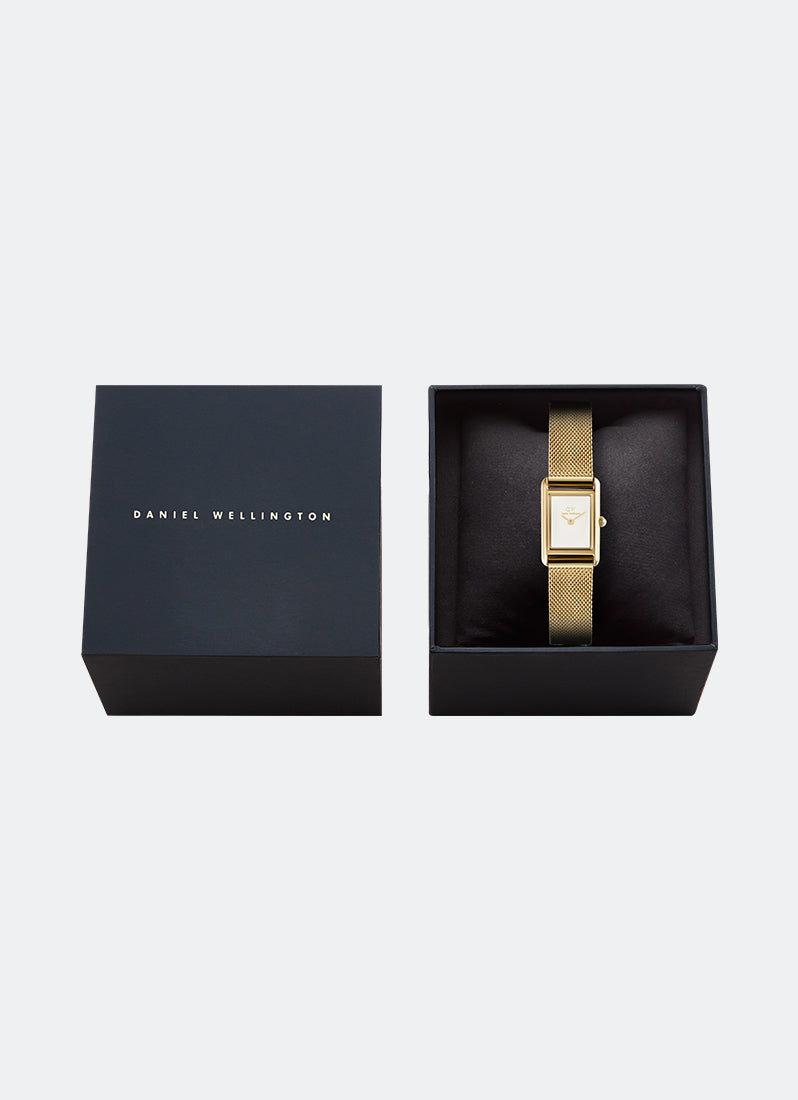 Bound Mini Evergold White Gold (17mm x 25.9mm) DW00100928