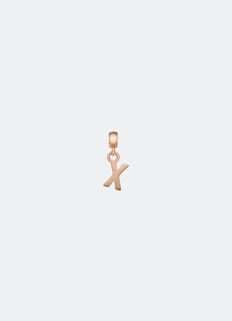 Charm Letter X - RG DW00400481