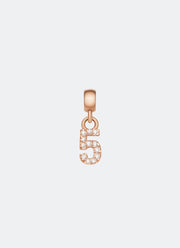 Charm Number with Crystals 5 - RG DW00400728
