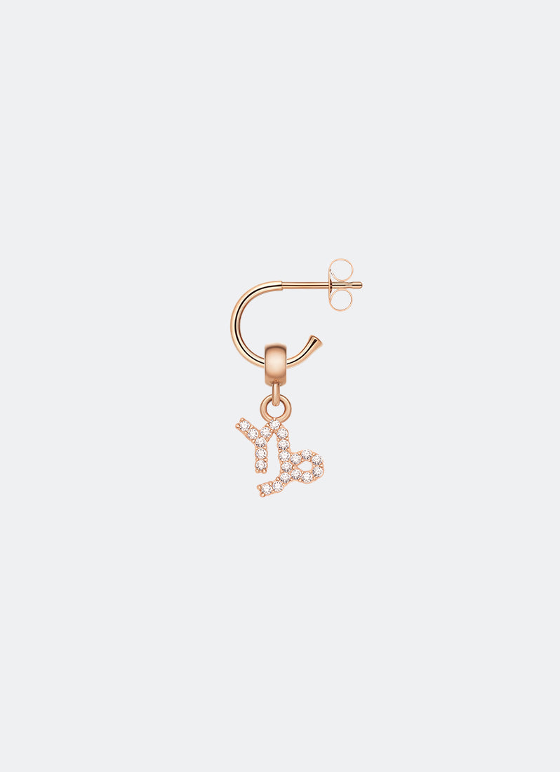 Charm Zodiac Sign Capricorn RG - DW00400741