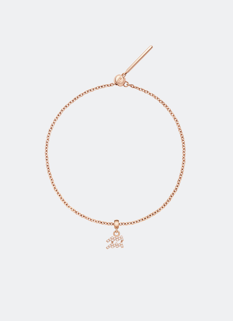 Charm Zodiac Sign Aquarius RG - DW00400742