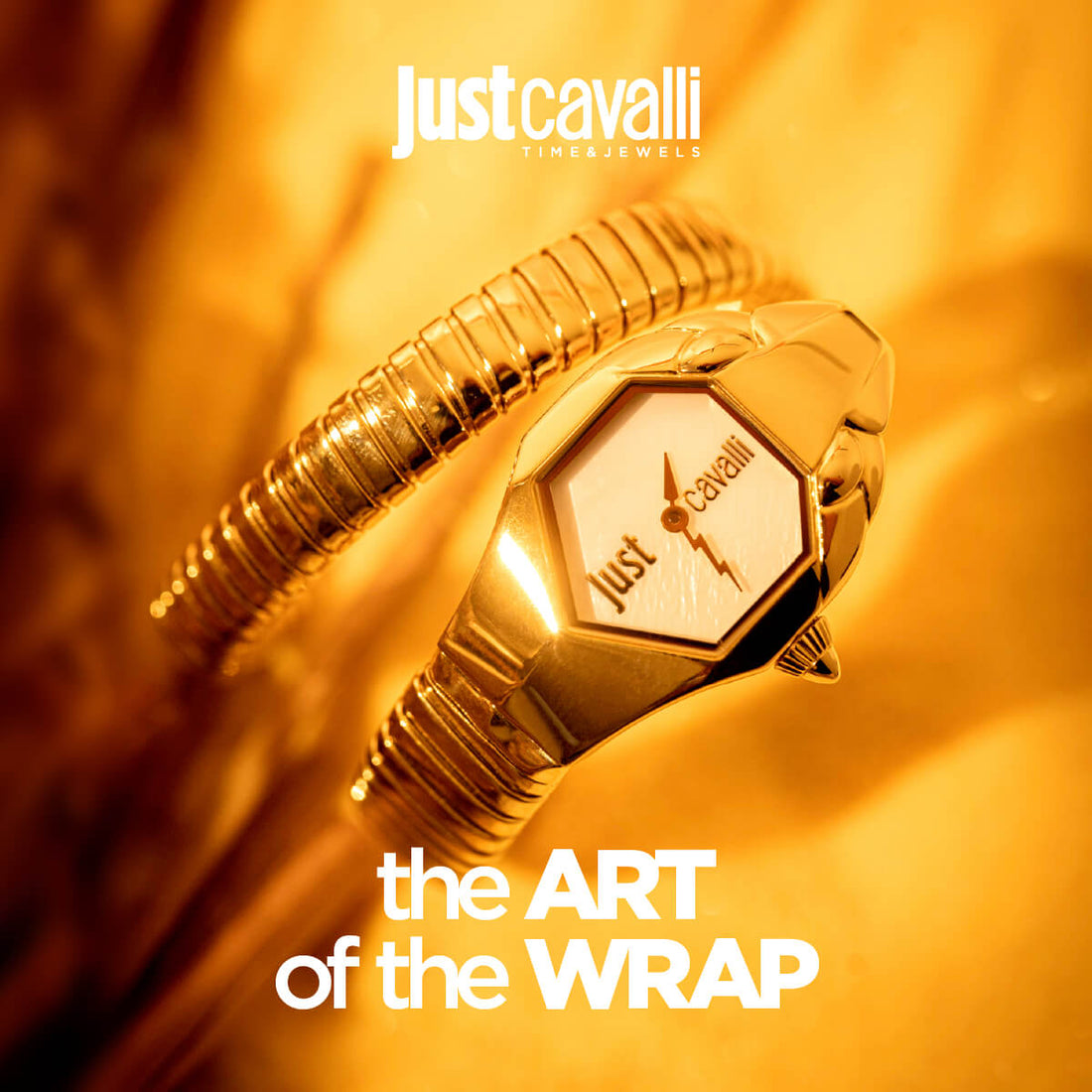 Just Cavalli Promotion Banner