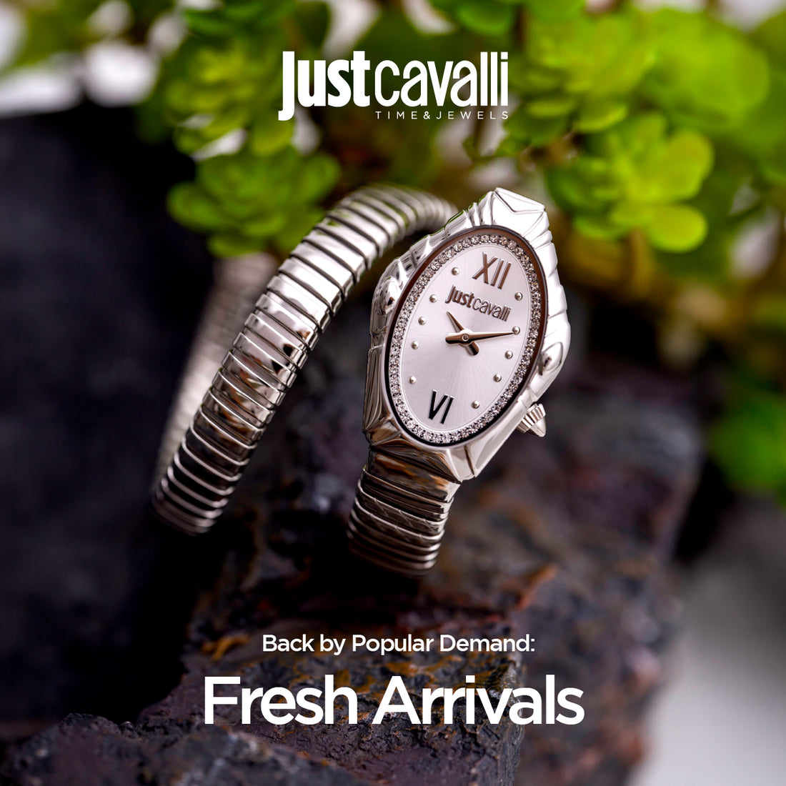 THE WATCH CO.