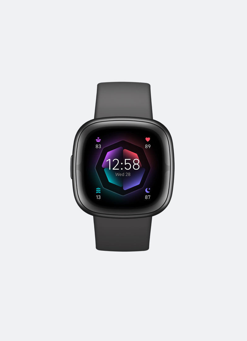 Fitbit Smartwatch Sense 2 Shadow Grey / Graphite Aluminum